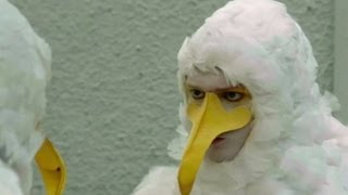 Hungry Seagulls - The Ginge, the Geordie and the Geek: Episode 1 Preview - BBC Two