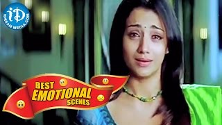 Tollywood Telugu Movies  Best Emotional Scene  Nam