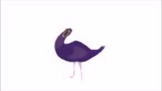 Death Grips - Birds (Unofficial Video)