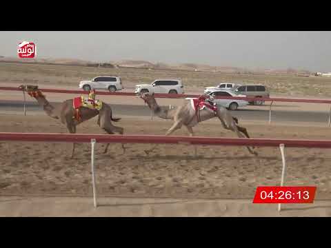  ش 6 (الوثبة) لـ عتيق مطر حسن القبيسي 7:42 , شارة الديوان 3 2026/10/06 سويحان ايذاع  