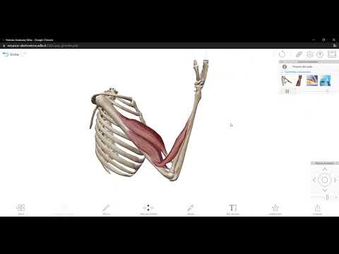 Human Anatomy Atlas   Google Chrome 2023 03 21 20 00 26