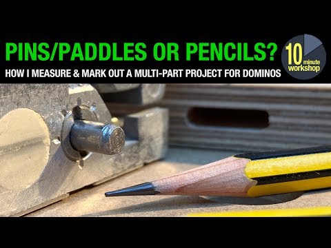 Domino Pins Paddles or pencils video 304