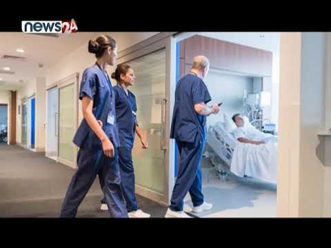 बिरालोलाई दिइयो जागिरमा नियुक्ति - NEWS24 TV