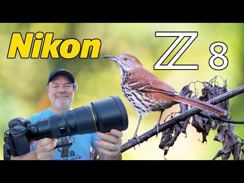 Nikon Z8 Bird Photography with 600 6.3 PF VR Prime Lens!