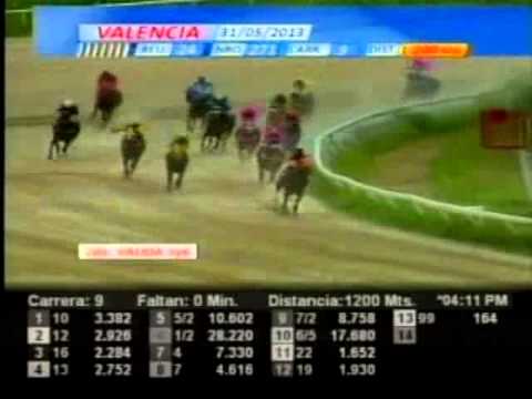 Resumen Viernes, 31 de Mayo de 2013 - Valencia