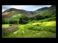 FIELDS OF GOLD sung by Susie Lambert Scott