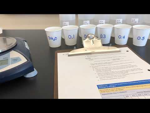 BI 112 Lab 4 Potato Experiment Results