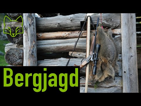 On marmots and chamois in the Hohe Tauern