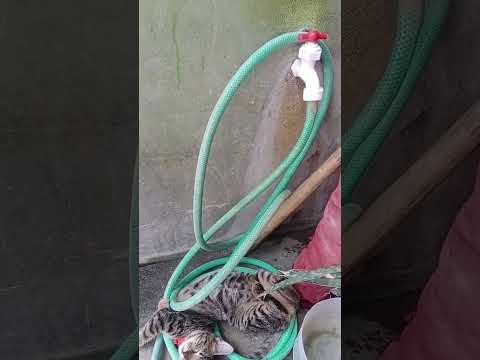 I want to be alone 😂