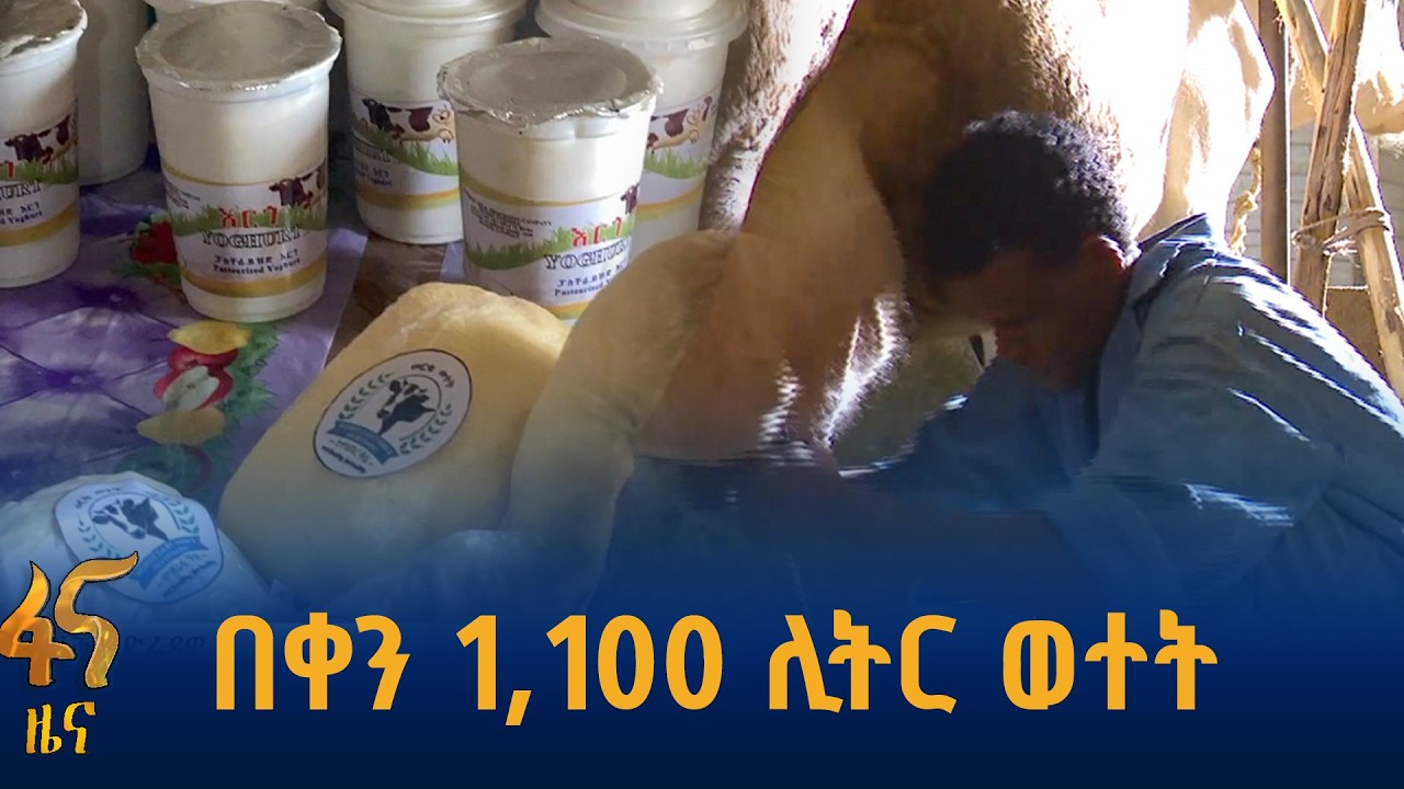 የአልሚዎች ዐይን ያረፈባት ድሬዳዋ ከተማ