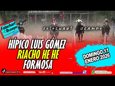 HÍPICO LUIS GÓMEZ- RIACHO HE HÉ- FORMOSA- Resumen de la Reunión del 11/01/2026