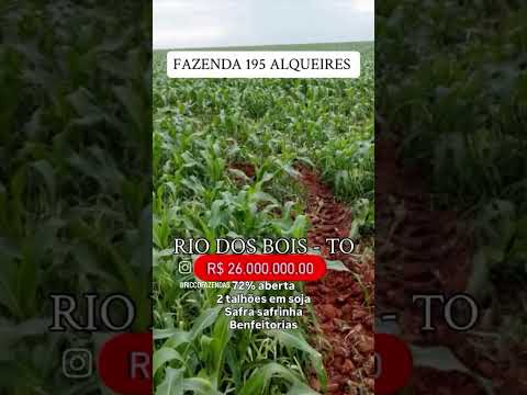 195 Alqueires em Rio dos Bois - To / whatsapp 62 99373-6407