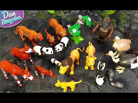 20 Playmobil Zoo Animal Toys