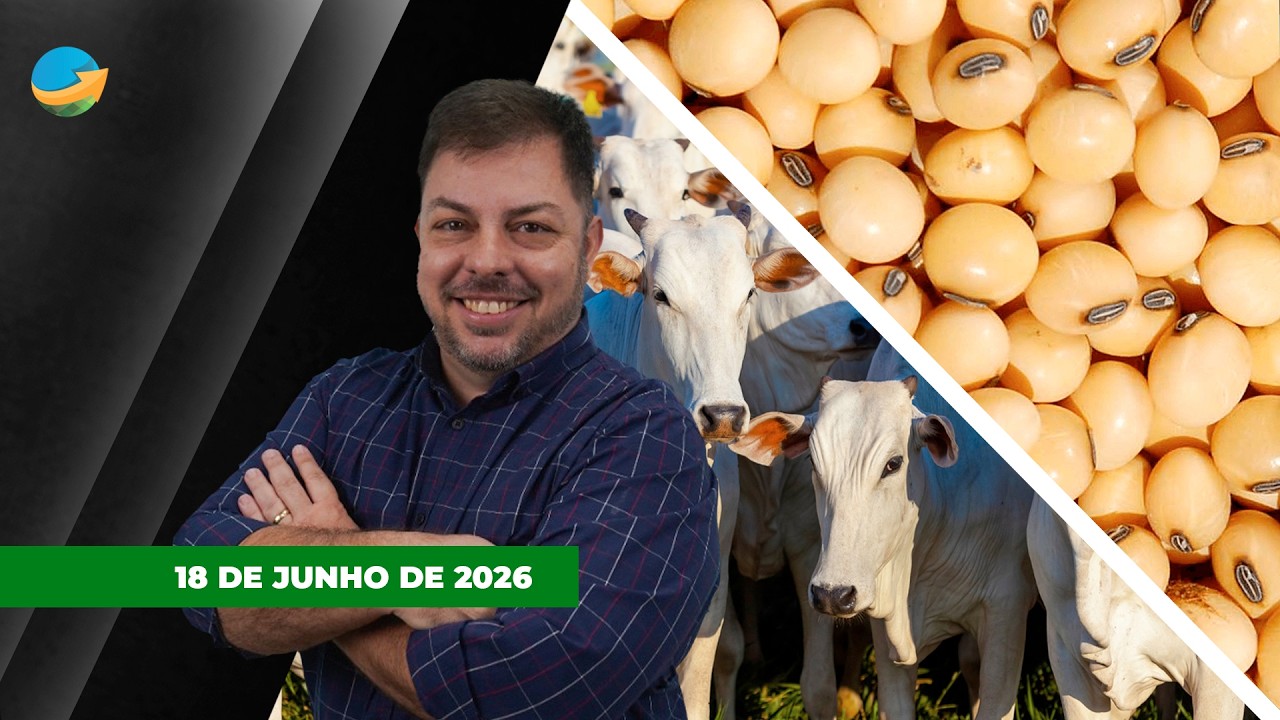 Soja tem dia de realização de lucros em Chicago; mercado do boi segue travado com incertezas...