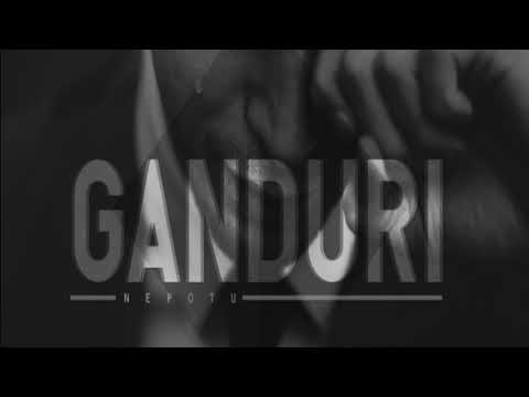 Nepotu'-Ganduri (prod. Vox Latina)