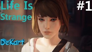 LIFE IS STRANGE Episode 1 СЕЛФИ ЛОМКА #1