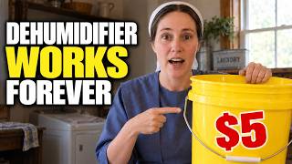 This $5 “DRY BUILD” Dehumidifies Your Entire Home