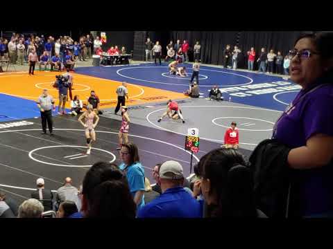 2019-2020 Texas State Wrestling Tournament