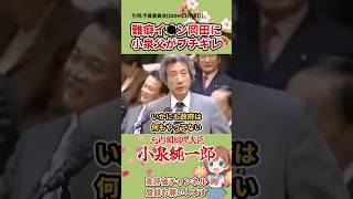 【小泉父vs立憲】難癖議員に小泉父がブチギレ