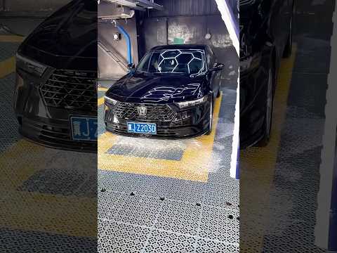 Nahradí Roboti Lidi? 🤔