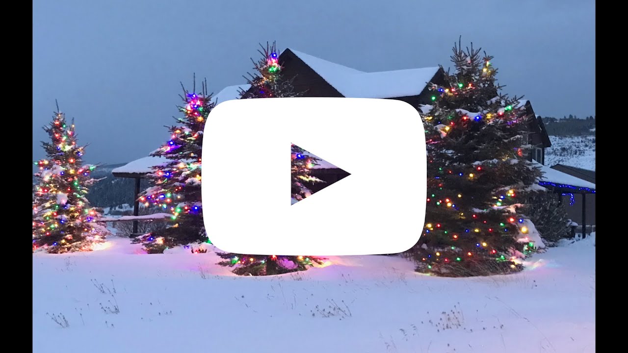 Warm White C7 LED Replacement Bulbs 25 Pack