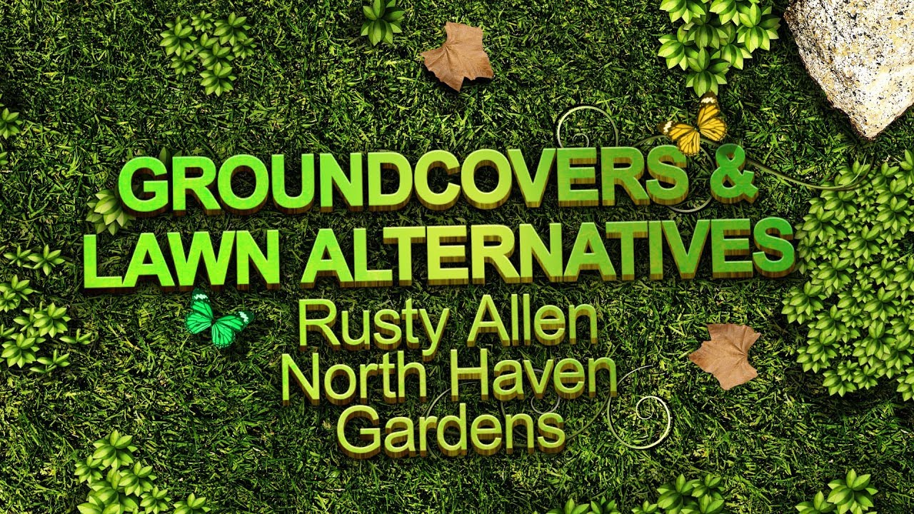 Groundcover and Lawn Alternatives - Sustainable Landscape Series - YouTube