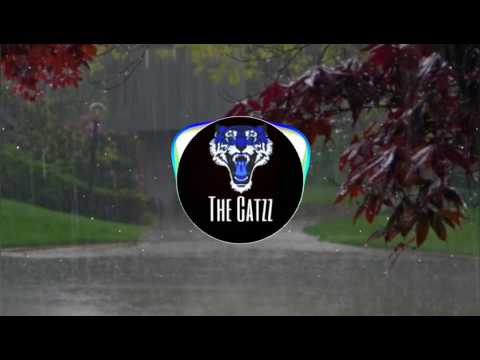 Mike Perry & Shy Martin - The Ocean [Danex & Riaz Remix]