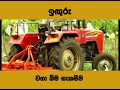 ExpoSpice Ginger Land Preparation Sinhala