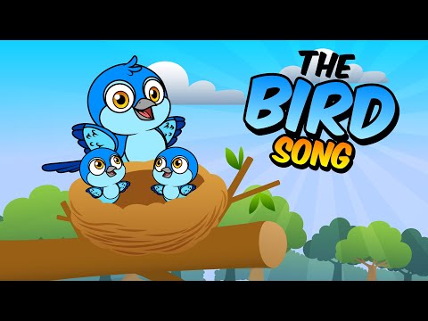 The Bird Song! CHIRP CHIRP 🐥