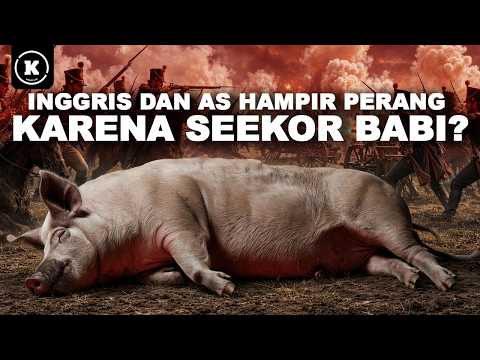 Konflik Paling Absurd di Abad ke-19 yang Cuma Memakan Satu Korban Jiwa (Seekor Babi)
