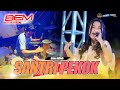 Santri Pekok - Intan Afiffah (official live music) Faris And Friends - viral TIK TOK - DHEHAN AUDIO