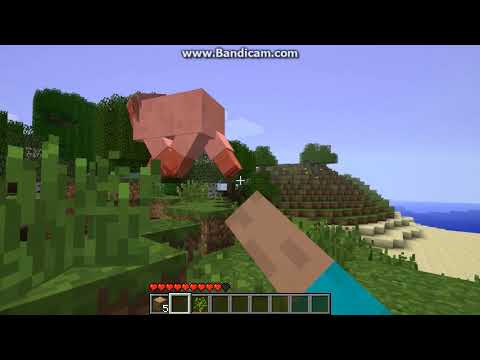 xXasylumXx - Minecraft survival tutorial episode 1