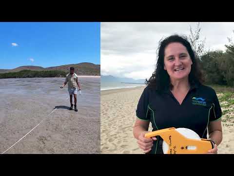 What is the Great Barrier Reef Marine Monitoring Program? | Great Barrier Reef Marine Park Authority