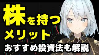 【新NISA、株式投資を始めた方が良い理由】長期放置+安全性重視のおすすめ方法や注意点も解説【ねるめろ切り抜き】