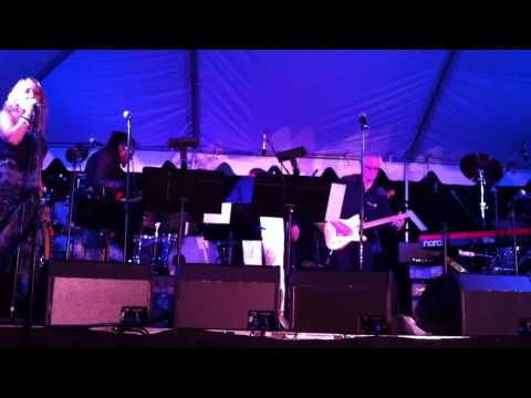 Wayne Kramer, Paul Ill, Kat Dyson and more - When Dogs Could Talk