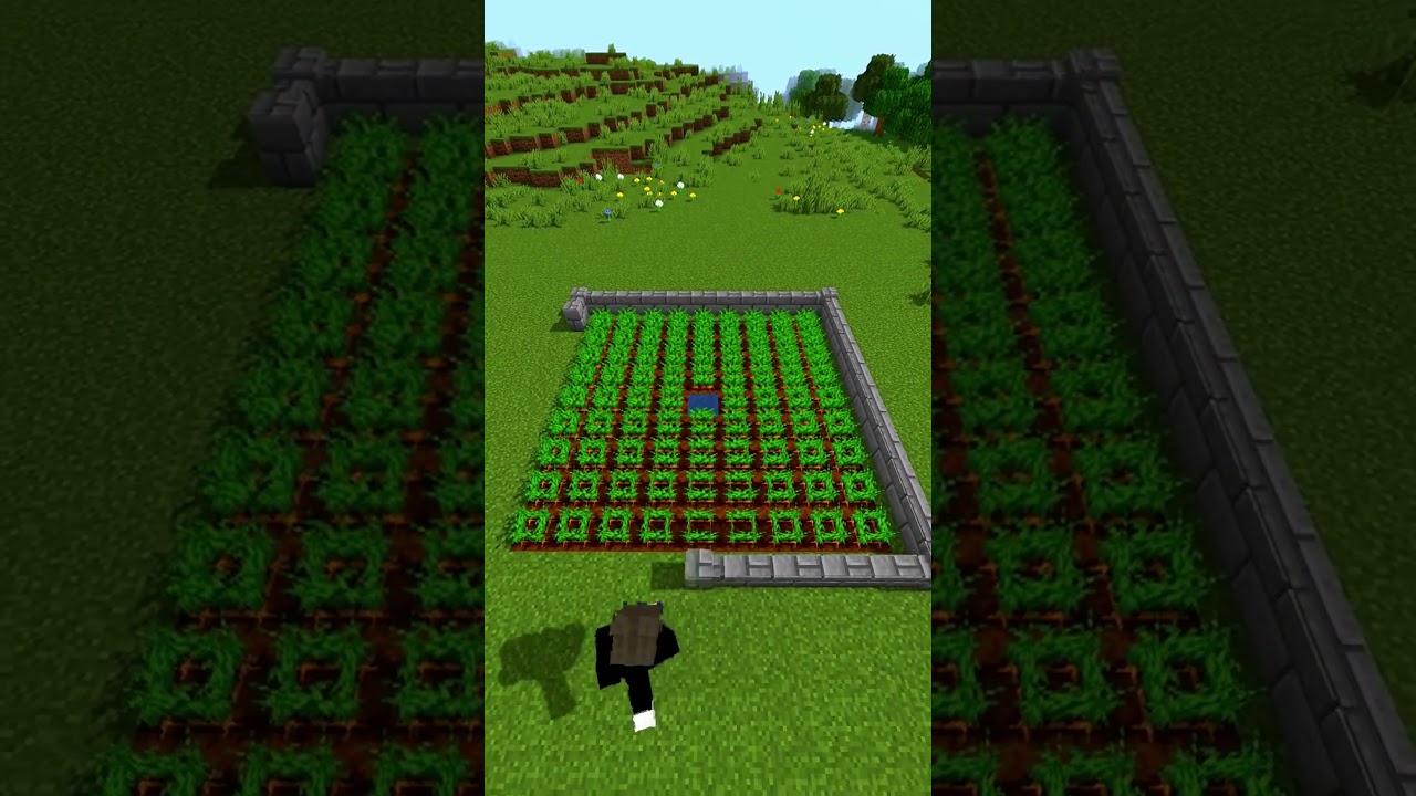 Easiest AUTO Crop Farm