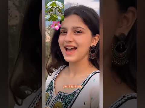 PRITY LITTLE BABY 🐥🐥🐥🐥