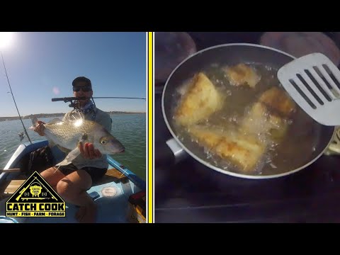 download lagu mp3 mp4 Spotted Grunter Recipe, download lagu Spotted Grunter Recipe gratis, unduh video klip Spotted Grunter Recipe