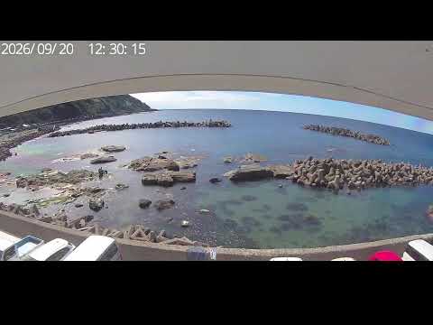 鶴岡・加茂のライブカメラ映像