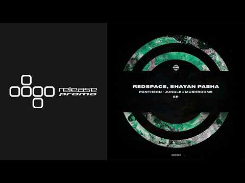 PREMIERE: Redspace & Shayan Pasha - Pantheon [WARPP]