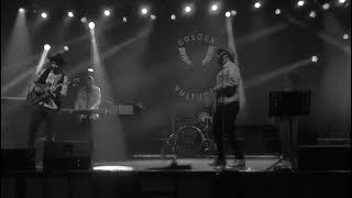 Golden Vultures video preview