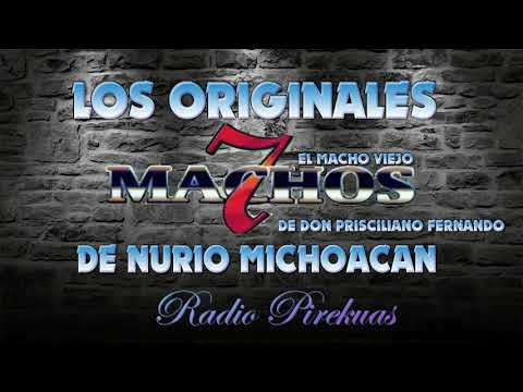 7  Machos de Nurio Michoacan 2018