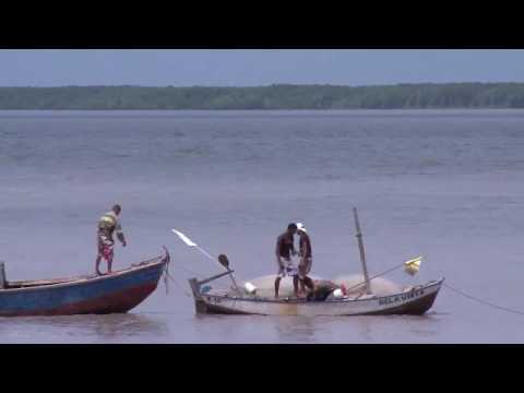 REGGAE JAMAICA (ESTRELA NEGRA) BANDA TROPICAL DO MARANHÃO   ANOS 90