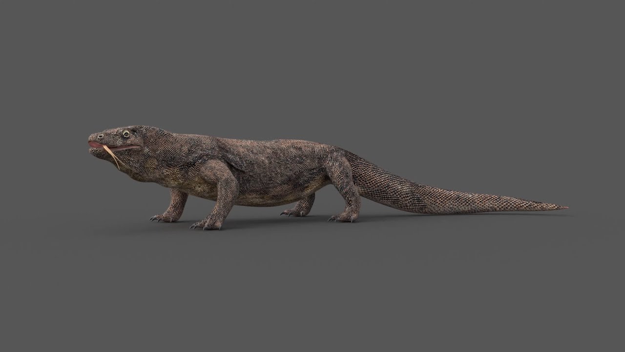 Drago di Komodo truccato Modello 3D