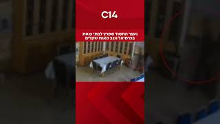 נעצר החשוד שפרץ לבתי כנסת בכרמיאל וגנב מאות שקלים (חדשות ערוץ 14) - התמונה מוצגת ישירות מתוך אתר האינטרנט יוטיוב. זכויות היוצרים בתמונה שייכות ליוצרה. קישור קרדיט למקור התוכן נמצא בתוך דף הסרטון