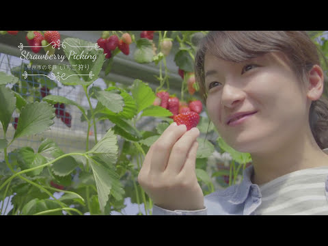 甲州市観光プロモーションPV 「四季の旅」