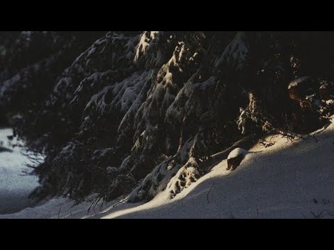 Nychts Atmospheric Black Metal