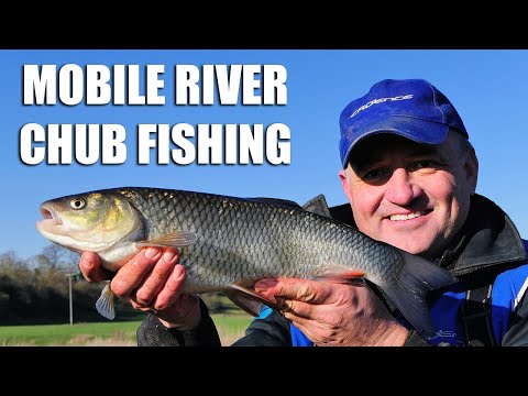 Mobile River Chub Fishing - Warwickshire Avon