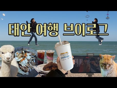 태안 여행 브이로그 │ 파도리 인생버거 │해피준 카페 │청산수목원 │먹고 바다보고 먹고 바다보고(?)