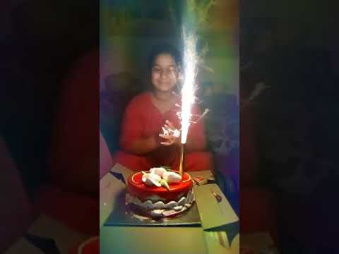 Srilekha Rayavarapu Birthday Celebrations